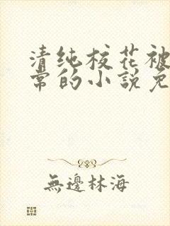 清纯校花被擒日常的小说免费阅读