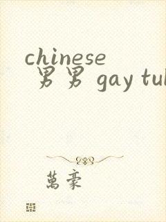 chinese 男男 gay tube封面