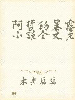 阿哲的暴露日常小说全文免费阅读下