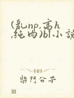 (乱np,高h,纯肉)bl小说封面