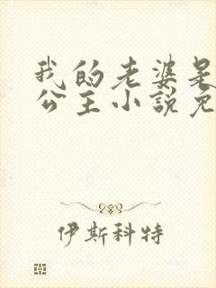 我的老婆是恶劣公主小说免费阅读封面