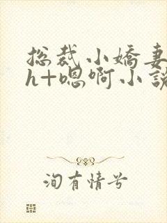 总裁小娇妻h+h+嗯啊小说封面