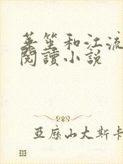 华笙和江流免费阅读小说封面