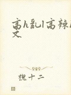 高h乱l高辣h文