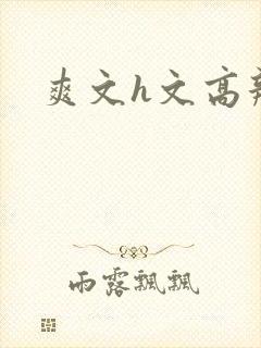 爽文h文高辣h