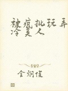 被疯批玩弄的清冷美人封面