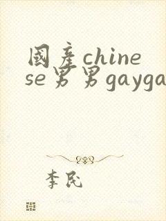 国产chinese男男gaygay在线播放网站
