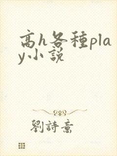 高h各种play小说