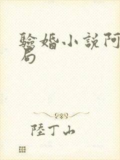 验婚小说阿龟结局封面