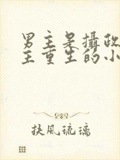 男主是摄政王女主重生的小说