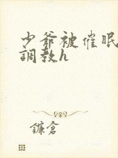 少爷被催眠玩弄调教h