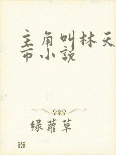 主角叫林天的都市小说封面