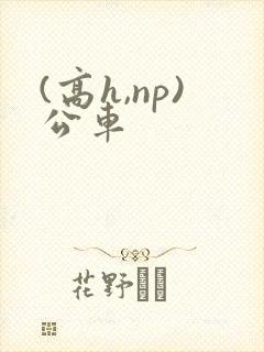 (高h,np)公车