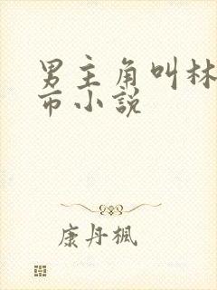 男主角叫林尘都市小说