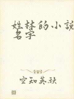 姓林的小说女主名字封面