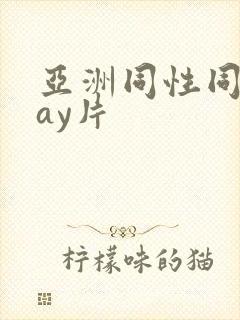 亚洲同性同志gay片