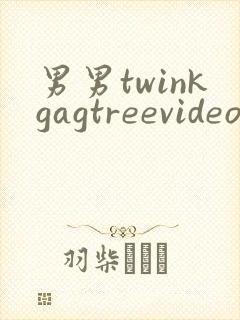 男男twinkgagtreevideo裸体