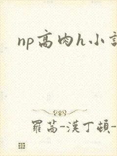 np高肉h小说