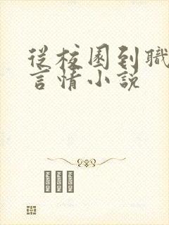 从校园到职场的言情小说