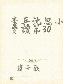 李兵沈思小说免费读第30