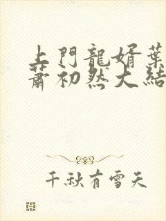 上门龙婿叶辰,萧初然大结局叶辰,萧初然章节封面