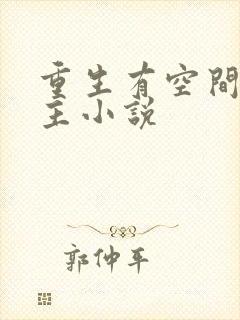 重生有空间的女主小说