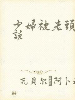 少妇被老头操小说