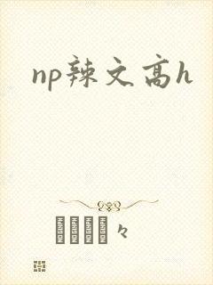 np辣文高h