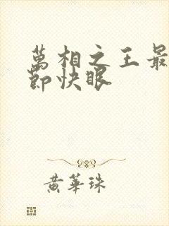 万相之王最新章节快眼