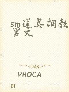 sm道具调教男男文