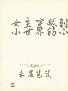 女主穿越到各种小世界的小说