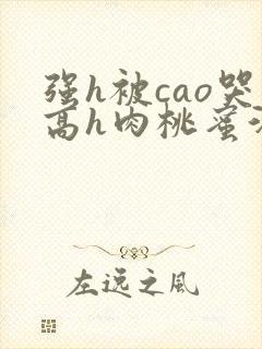 强h被cao哭高h肉桃蜜汁封面