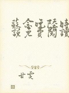 苏念晚陆时衍小说免费阅读最新章节封面