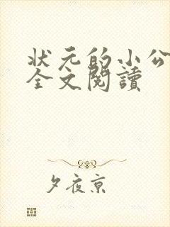 状元的小公主 全文阅读