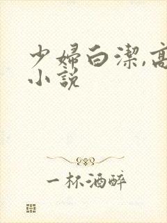少妇白洁,高义小说
