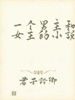 一个男主和多个女主的小说封面