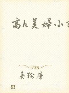 高h美妇小说
