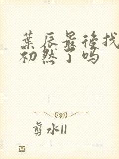 叶辰最后找到萧初然了吗封面