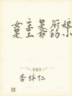 女主是厨娘男主是王爷的小说