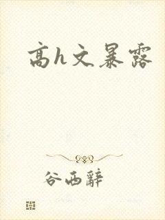 高h文暴露