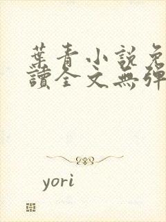 叶青小说免费阅读全文无弹窗封面