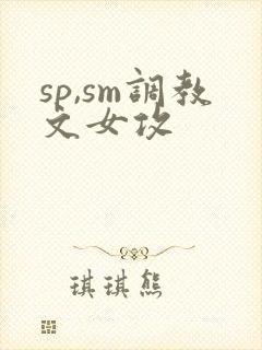 sp,sm调教文女攻