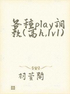 各种play调教(高h,1v1)