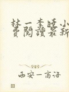 林一李晓小说免费阅读最新章节列表