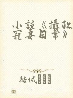 小说《摄政王的宠妻日常》