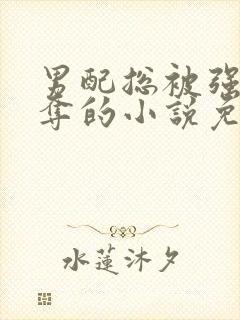 男配总被强取豪夺的小说免费阅读