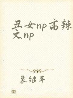 丑女np高辣h文np