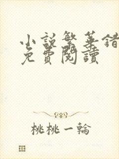 小说繁华错全文免费阅读封面