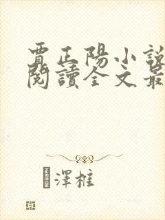 贾正阳小说免费阅读全文最新章节