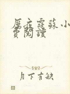 厉夜霆苏小汐免费阅读